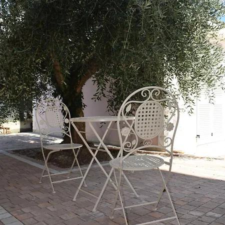 Domus Rosea Guest house